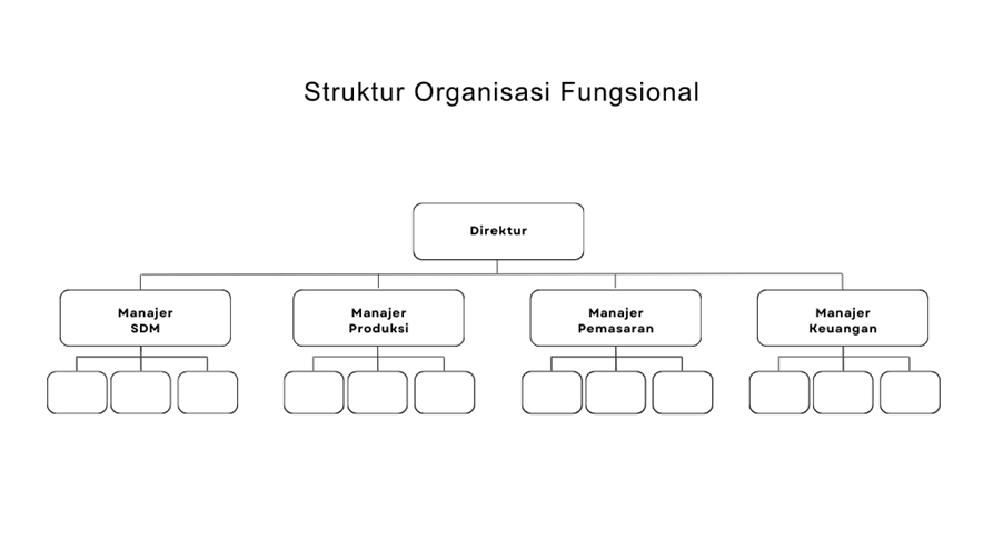 Contoh Struktur Organisasi Fungsional