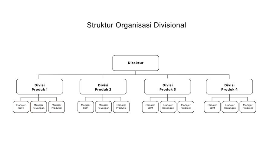 Contoh Struktur Organisasi Divisional